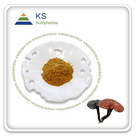 Reishi Mushroom Extract-L