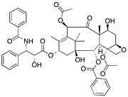 Paclitaxel (semi-synthetic)