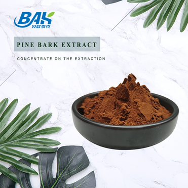95% Anthocyanidin powder Pine Bark Extract