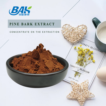 95% Anthocyanidin powder Pine Bark Extract