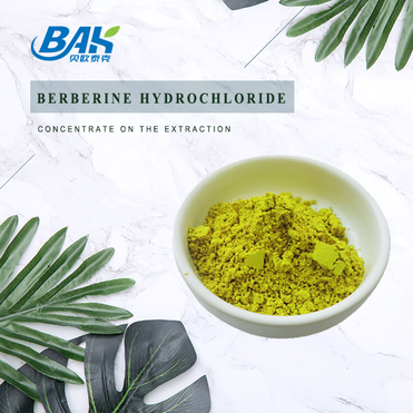 Factory supply 98% Berberine Hydrochloride powder