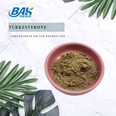 Turkesterone 10% High Quality turkesterone powder