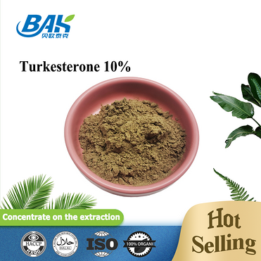 Turkesterone 10% High Quality turkesterone powder