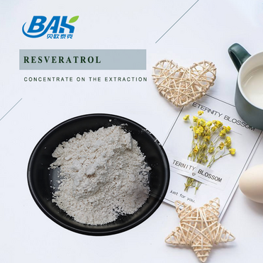 Best Price Resveratrol 99% Resveratrol Powder