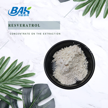 Best Price Resveratrol 99% Resveratrol Powder