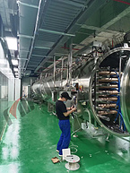 Continuous low temperature vacuum belt dryers for Pharmaceutical herbal ingredient