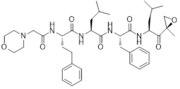 Carfilzomib