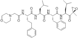 Carfilzomib