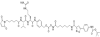 CAY-PNP