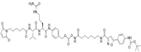 CAY-PNP