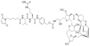 ER-PNP