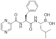 Bortezomib