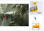 Botanical extracts and functional raw material extract powder dehydration vacuum belt dryer