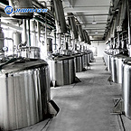 Sanitary Stainless steel Low temperature vacuum natural plant extraction machine