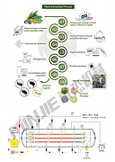 Natural flavoring, color, preservative& ingredients drying vacuum belt dryer