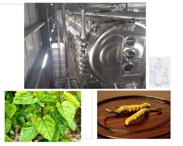 Low temperature fruit and vegetable herbal extract and protein powder vacuum dryer