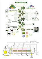 Low temperature fruit and vegetable herbal extract and protein powder vacuum dryer