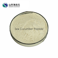 sea cucumber peptide functional food grade