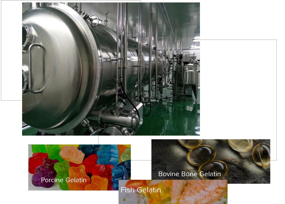 Continuous VBD Drying Machine dryer for honey, fruit puree & oligose  