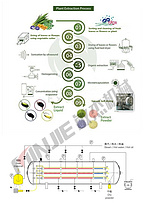 Continuous Pharmaceutical dehydration double effect evaporator