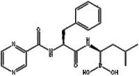 Bortezomib