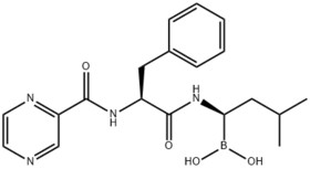 Bortezomib