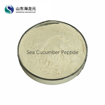 high protein sea cucumber peptide food grade