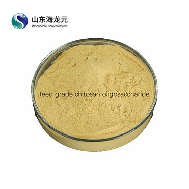 green healthy chitosan oligosaccharide feed grade for aquitic animals