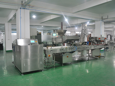 Automatic capsule and tablet counting production line