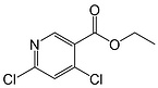 Ethyl4,6-dichloronicotinate