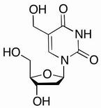 2'-deoxy-5-(hydroxymethyl)uridine