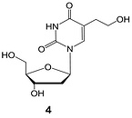 2'-deoxy-5-(hydroxyethyl)uridine