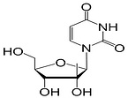 2'-C-Methyluridine