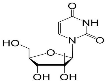 2'-C-Methyluridine