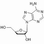 3’-Deoxy-adenosine (cordycepin)