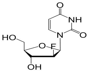 1-(2-Deoxy-2-fluoro-β-D-arabinofuranosyl)uracil
