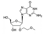 2'-O-(2-methoxyethyl)guanosine