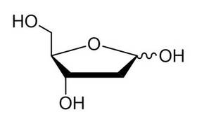 2-Deoxy-D-Ribose 533-67-