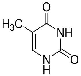 Thymine