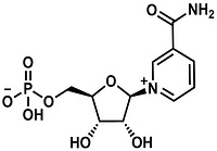 β-Nicotinamide mononucleotide (NMN)