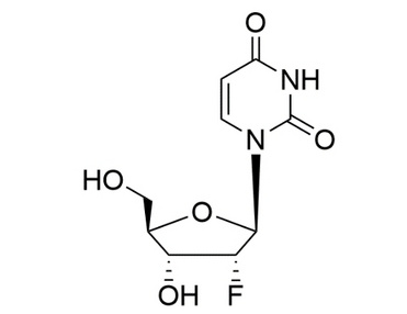 2'-deoxy-2'-fluorouridine