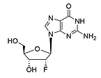 2'-deoxy-2'-fluoroguanosine