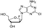 Clofarabine