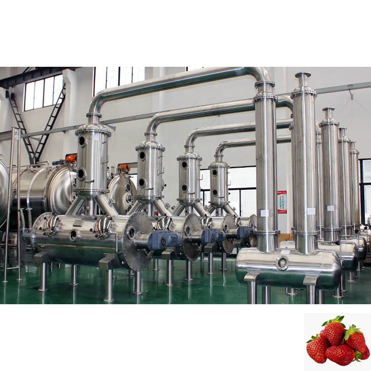Botanical herbal, plant& fruit extract vacuum belt dryer  