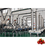 Botanical herbal, plant& fruit extract vacuum belt dryer