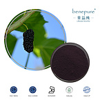 Mulberry Extract