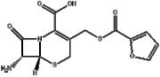 7-AMINO-3-(2-FUROYLTHIOMETHYL)-3-CEPHEM-4-CARBOXYLICACID