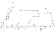 Tirzepatide