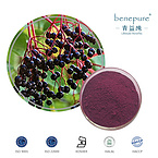 Elderberry Extract