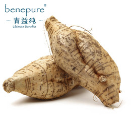 Kudzu Root Extract